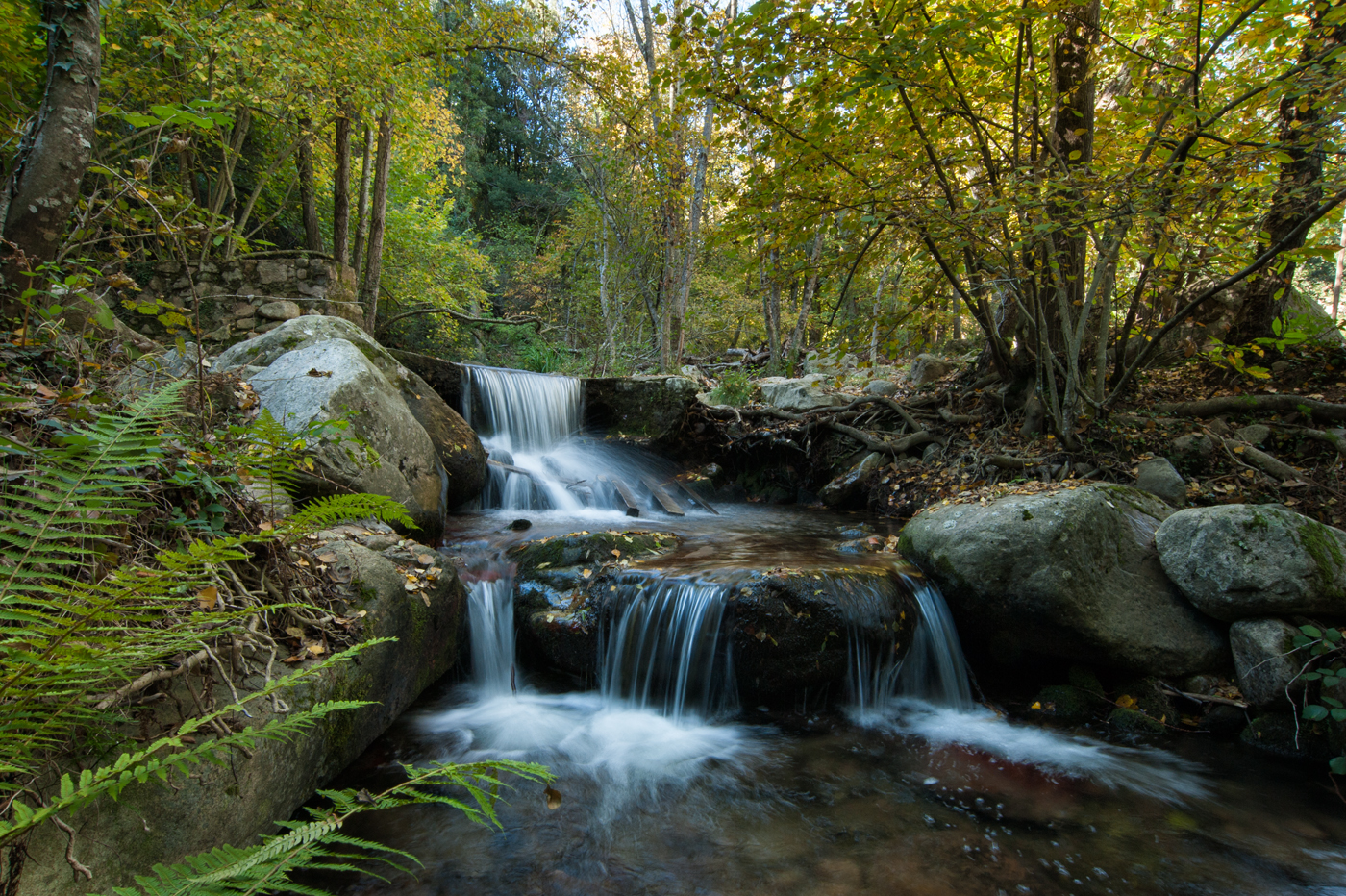 Parc Natural del Montseny