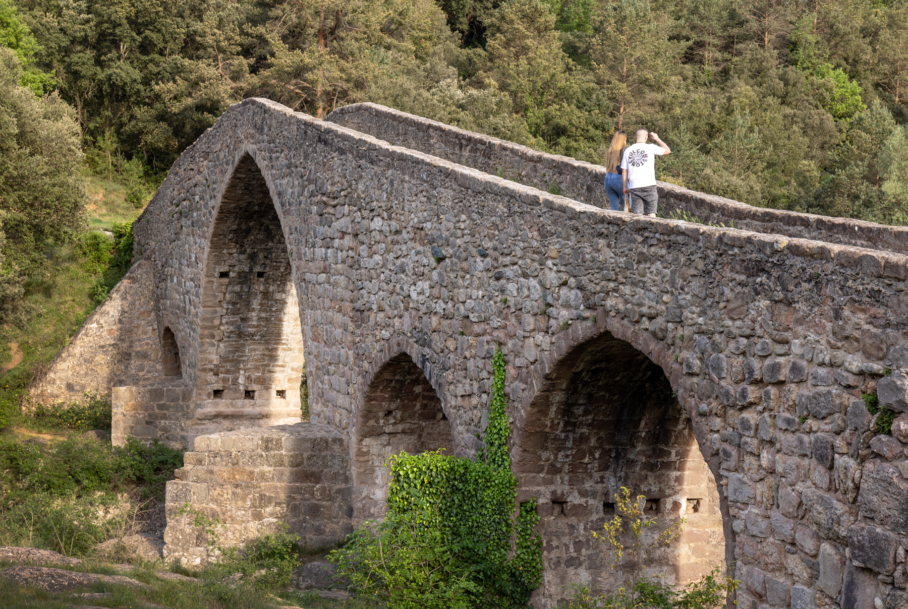 Cercs-PontdePedret8-DomenecFernandez-DIBA_LOW