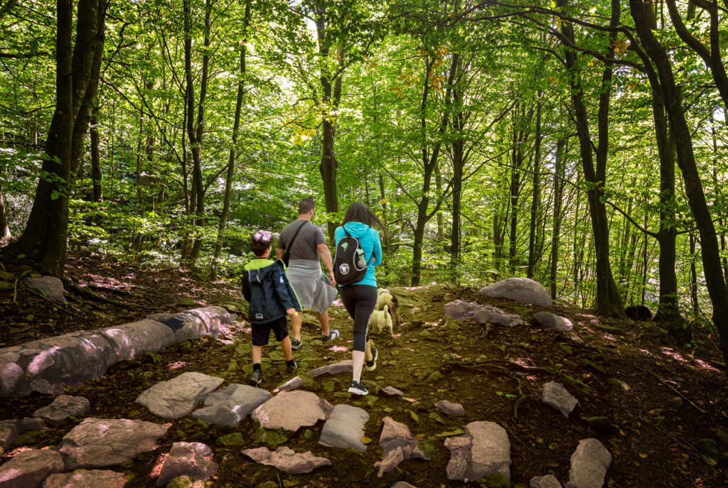 SantaFedelMontseny-Senderisme-Familia-Dome╠ÇnecFerna╠ündez-DIBA_LOW